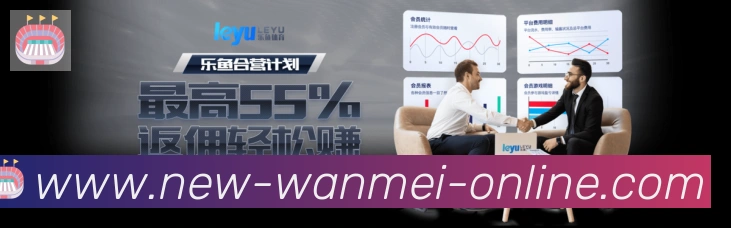 未来规划